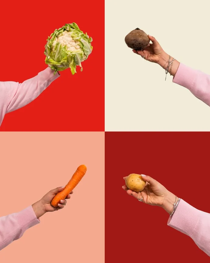 Vier handen die elk een versproduct tonen: een bloemkool, een rode biet, een wortel en een aardappel.